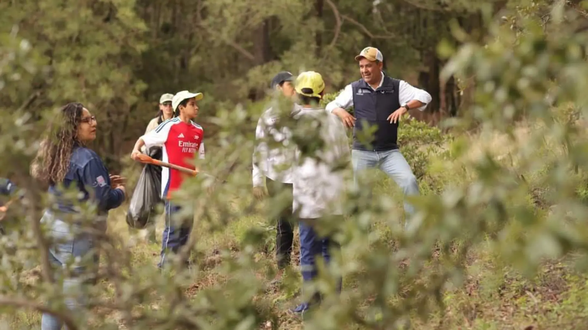 Reforestación Amealco